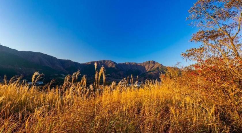 Auberge Au Mirador Hakone Kültér fotó